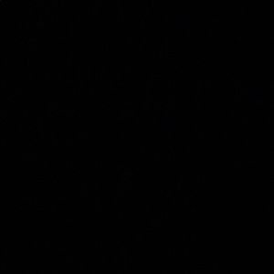 Meet your Posher, Neta